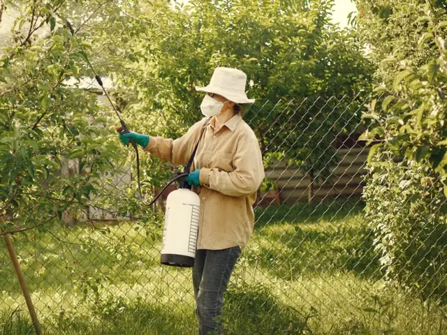 Technician in protective gear spraying a yard